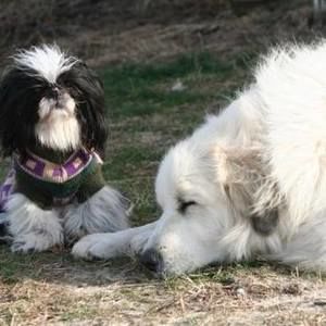 Meet your Posher, Valerie